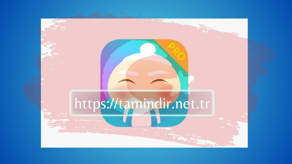 HelloChinese Pro
