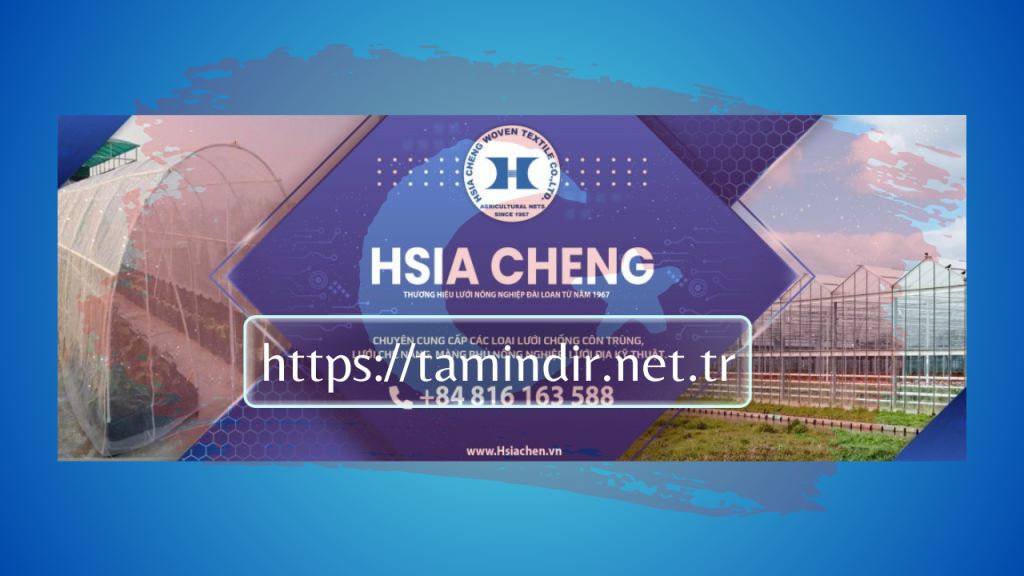 Hsia Cheng