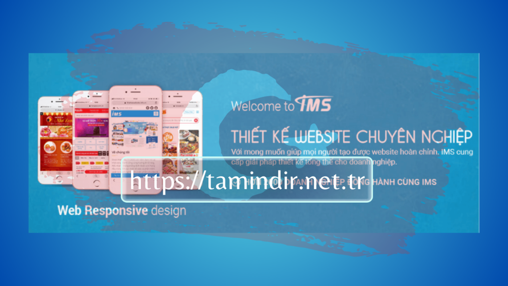 IMS web design company