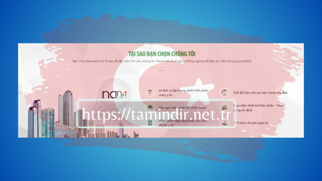  NANOSOFT