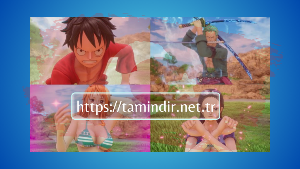One Piece Odyssey Indir