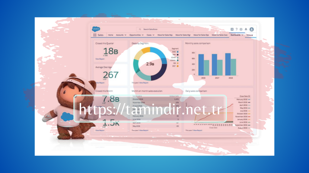 Salesforce software