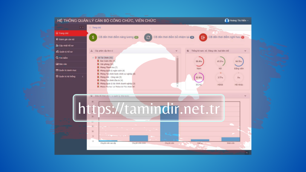 VSD profile management software