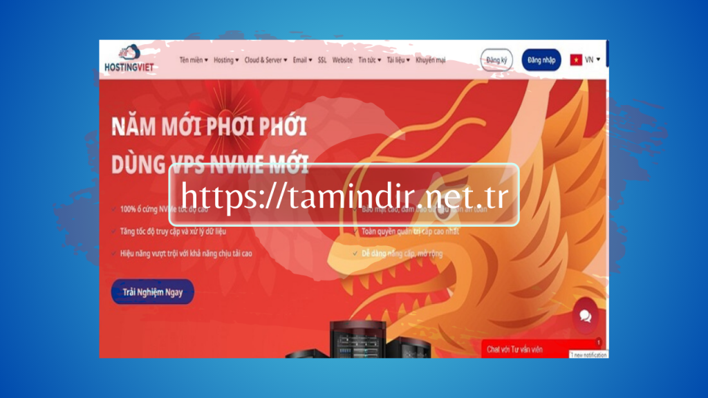 Vietnamese Hosting