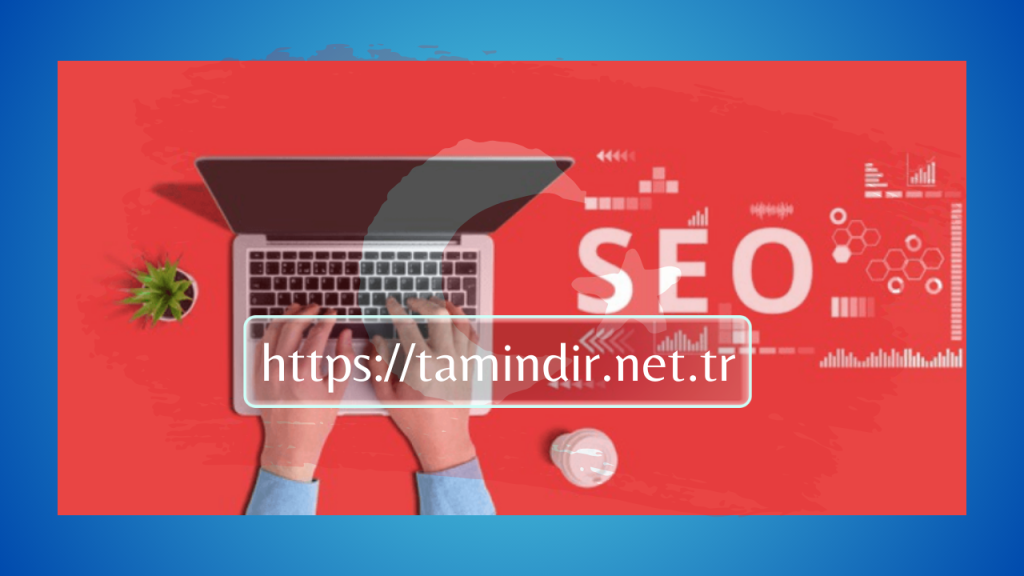 Website SEO
