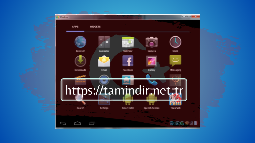 Windroy emulator