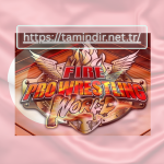 Fire Pro Wrestling World
