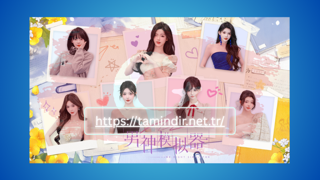 Mr Right Simulator Indir