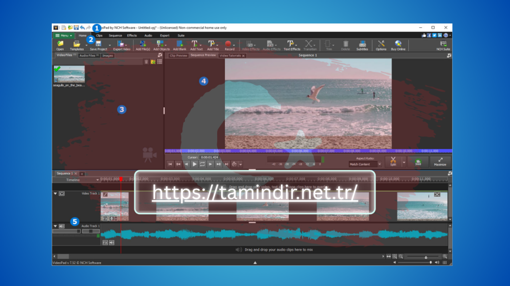 NCH VideoPad Pro Full Indir