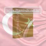TechSmith Camtasia 7 Indir Tamindir 2026