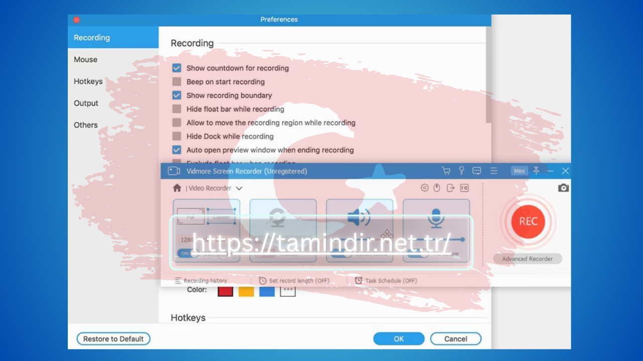 Vidmore Screen Recorder