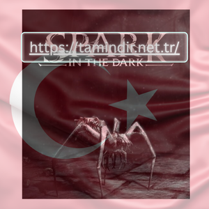 Spark in the Dark